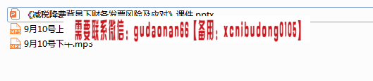 王新老师2019年9月10日《减税降费背景下财务发票风险及应对》