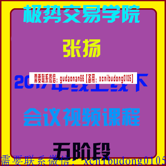 极势交易学院张扬2017年线下线上会议视频课程五阶段