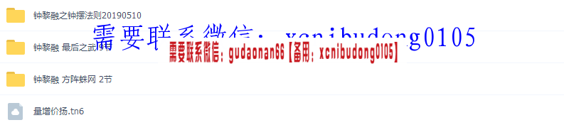 2019年仟和亿 钟黎融 之钟摆法则 方阵蛛网 最后之武 全套视频教